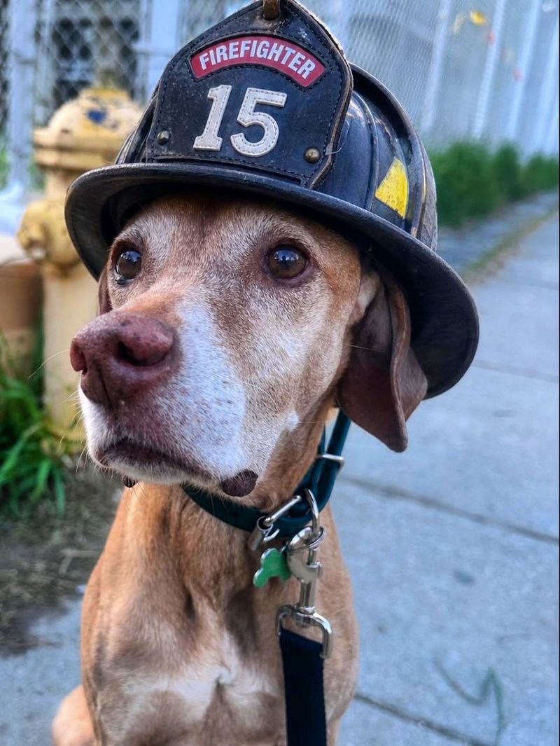 Mars wearing a firefighter helmet