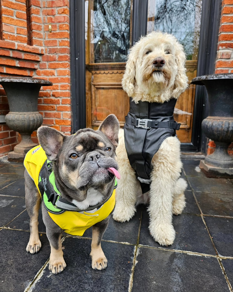 Phillip in a yellow raincoat and Morag the doodle on the front steps